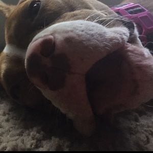 Meet your Posher, Kaleb